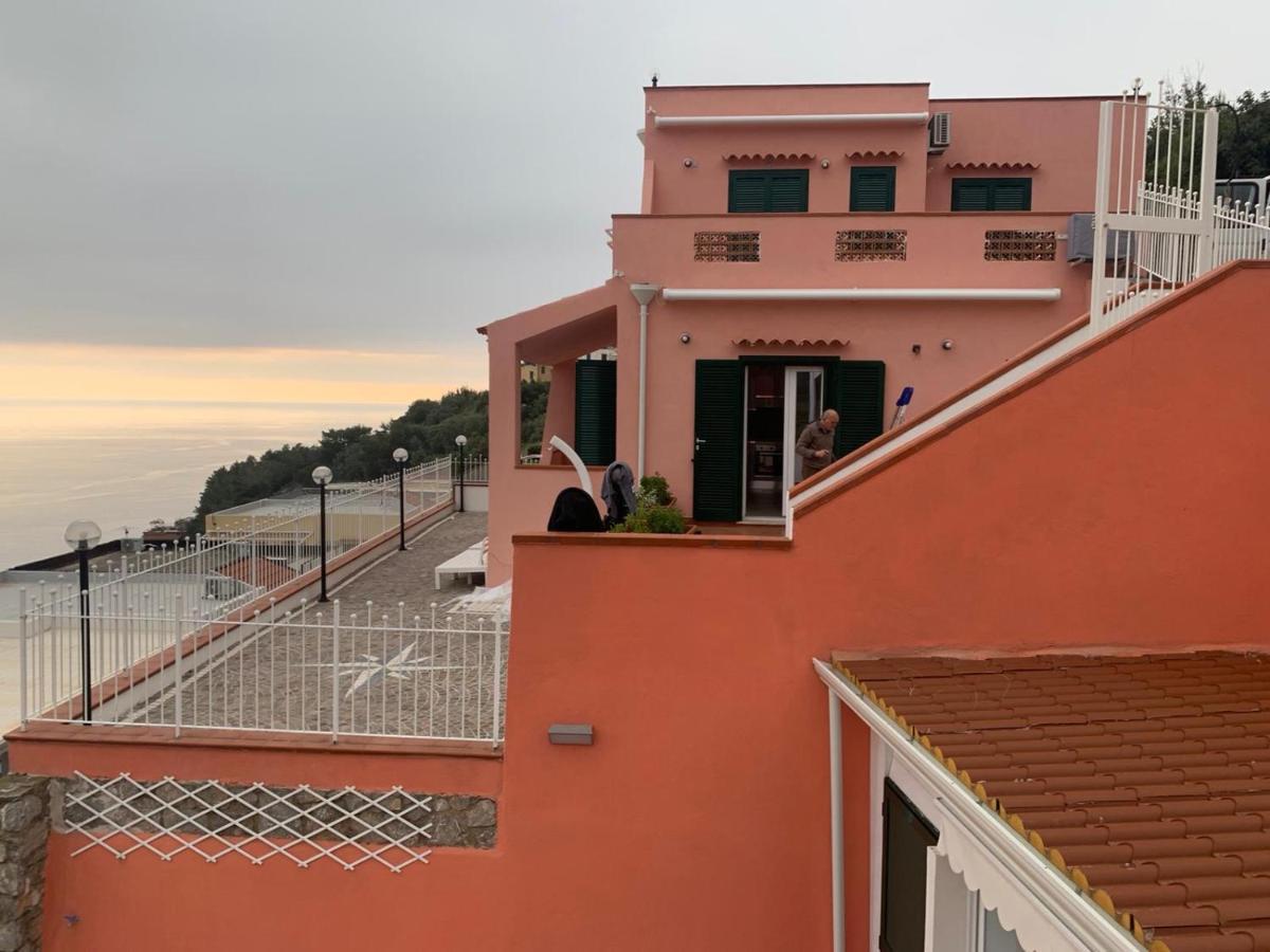 Still House San Nicola Arcella